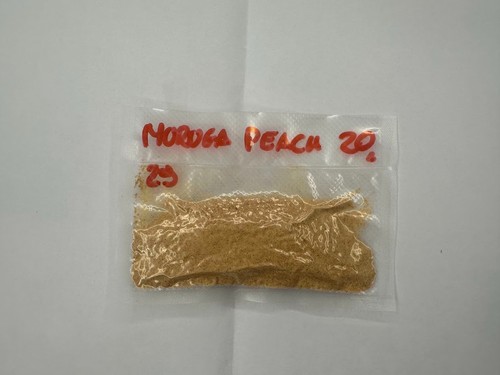 Peperoncino piccante - peperoncino,