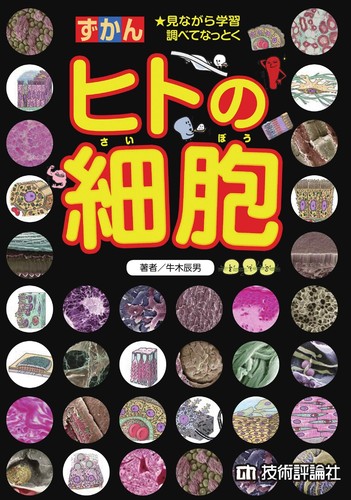 Human cells encyclopedia - human,
