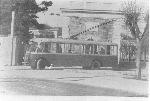 T19f ancona filobus - t19f),
