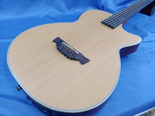 Chitarra acustica elettrica