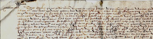 1529 manoscritto pergamena - 1529,