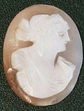 Cammeo in conchiglia naturale