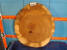  #8309 Scaffale a fetta di