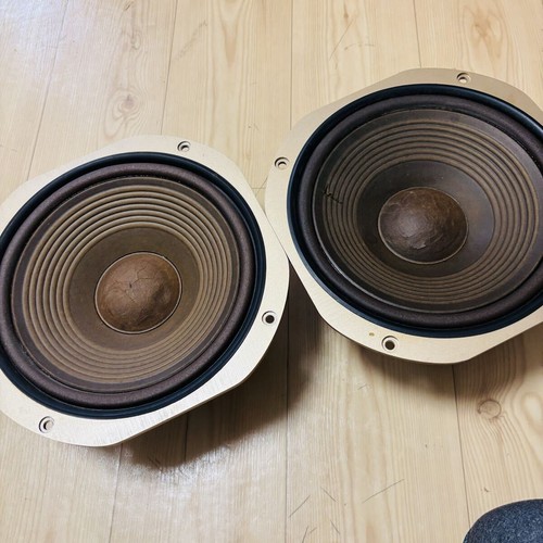 Coppia unità woofer cono - woofer,