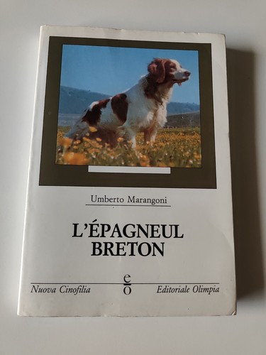Umberto marangoni l - marangoni, l'
