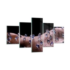 Quadro su Vetro 125x70cm Corpo