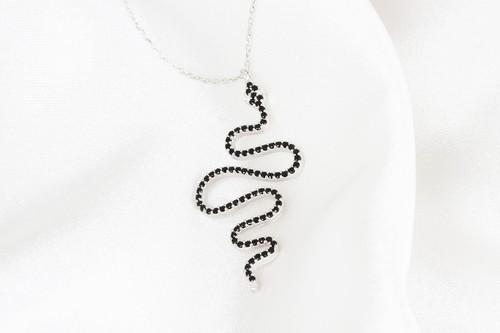 Collana serpente argento - in,