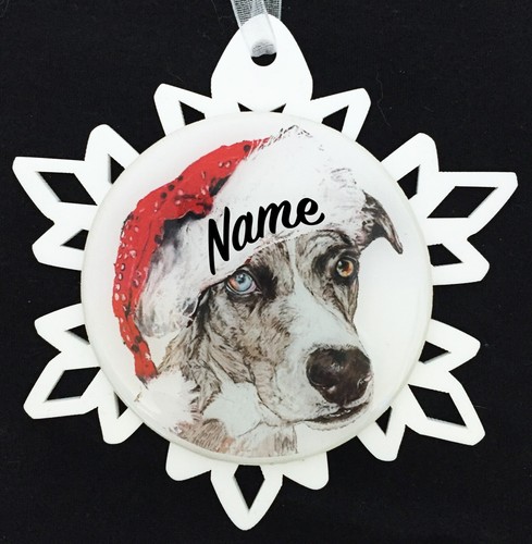 Babbo natale catahoula - babbo,