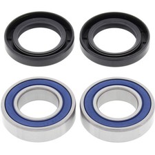25-1569 ALL BALLS KIT