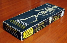 Scheletro umano vintage