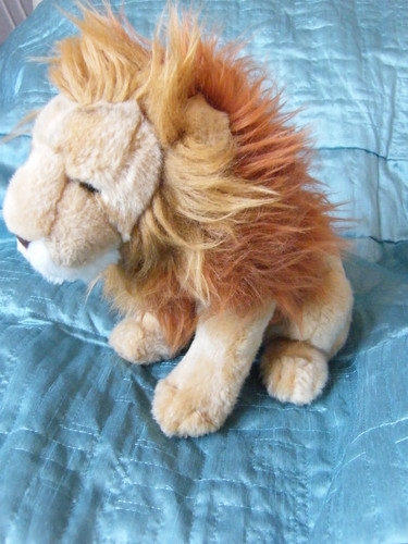 Leone peluche - leone, 11"