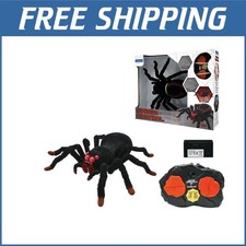 Tarantola Telecomando 8 Gambe