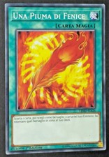 UNA PIUMA DI FENICE  in