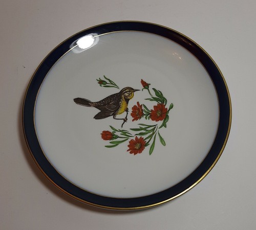 Piatto porcellana - piatto,