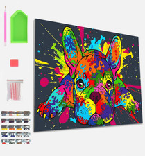 Kit per Pittura Con Diamanti