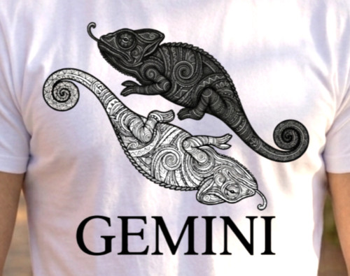 Maglietta gemelli segno - maglietta,