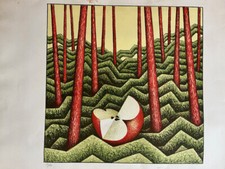 VANNI VIVIANI LITOGRAFIA FIRMA IN BASSO A DESTRA 83/99 misura foglio cm 70 x 50