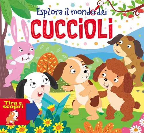 Libri esplora mondo dei - il,