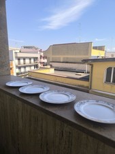 Set 4 Piatti Piani Rosenthal