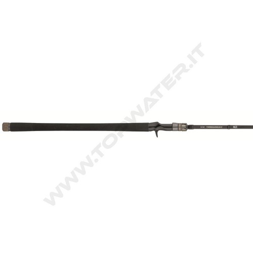 Daiwa tournament pike 2025 - daiwa,
