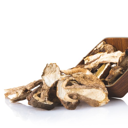 Funghi porcini secchi