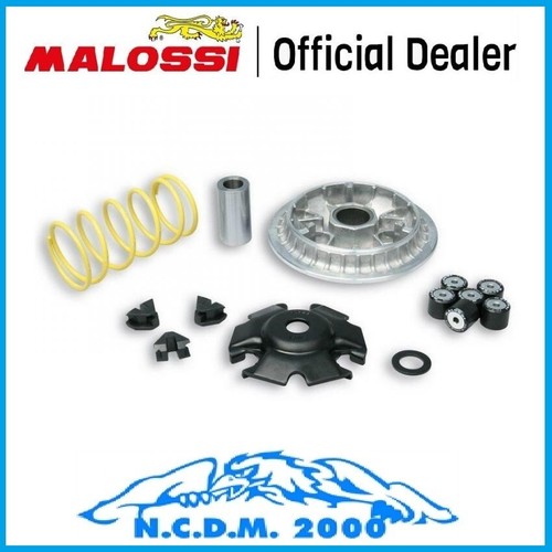 Variatore malossi multivar - variatore,