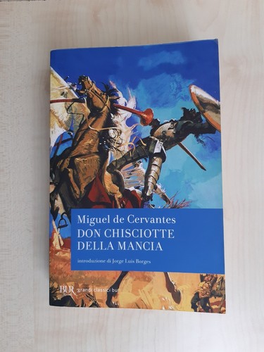 Don chisciotte della mancia - chisciotte,