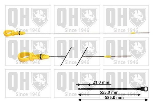 Dipstick olio quinton hazell - olio,