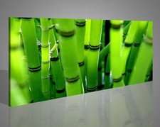 Stampa Artistica su Tela –