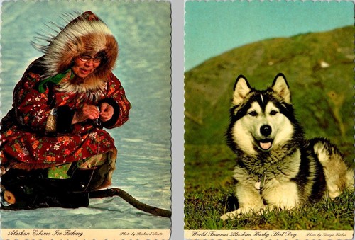 4x6 cartoline alaska - 2~4x6,
