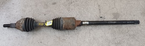 K05189278aa semialbero ant - k05189278aa,
