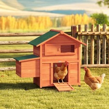 Pollaio per Galline Tetto