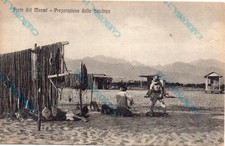 FORTE DEI MARMI PREPARAZIONE PER LA SCIABICA