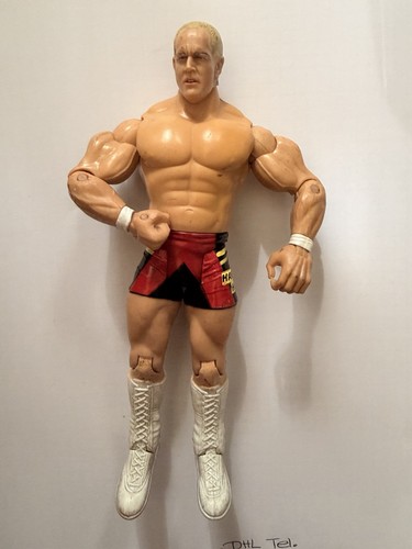 Wwe personaggio hardcore - personaggio,,