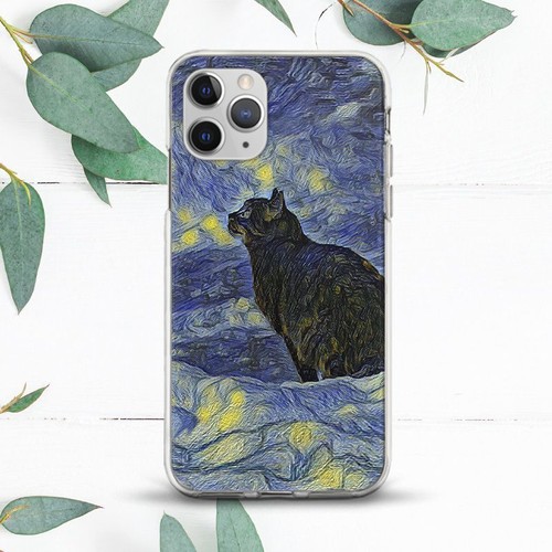 Black cat starry - cat,