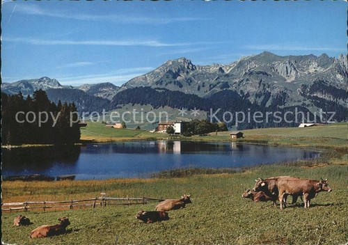 Wildhaus schwendisee - wildhaus, sg