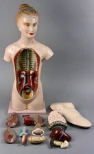 Antica anatomia umana medica