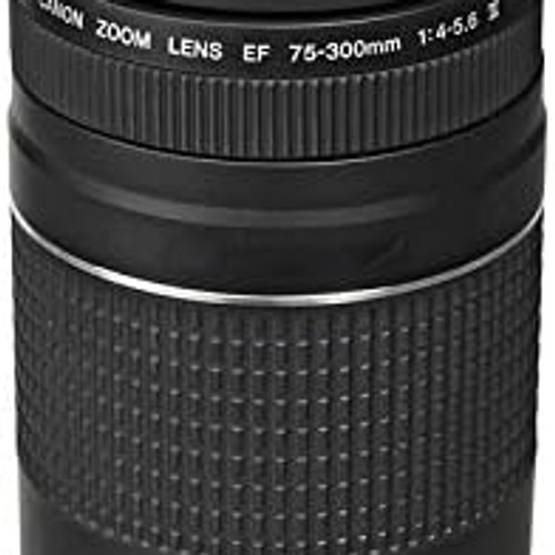 Canon 300 4 5 - mm, iii