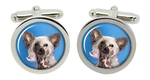 Cane nudo cinese gemelli - gemelli, in