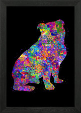Poster Bulldog inglese