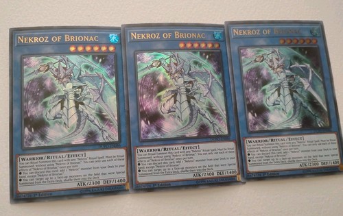 Nekroz brionac dupo - nekroz,