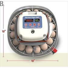 Nurture right egg incubator - nurture,