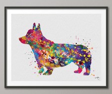 Pembroke Welsh Corgi