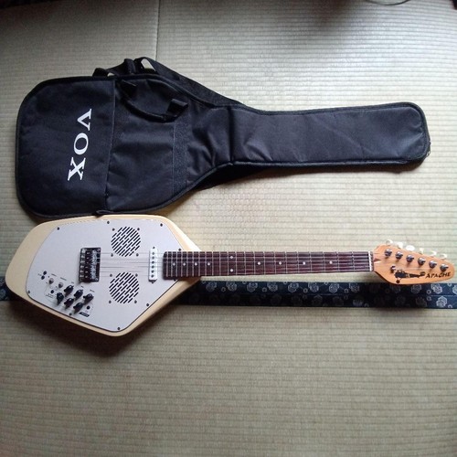 Custodia per chitarra