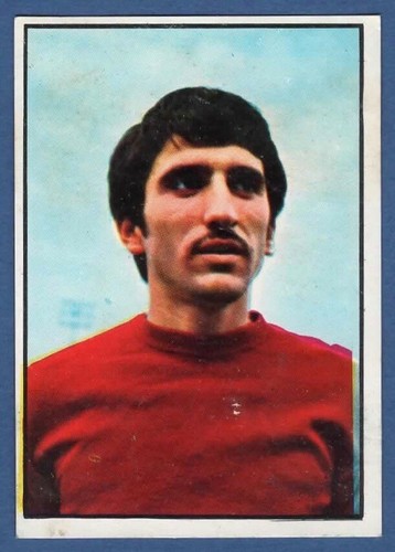 Figurina calciatori panini - figurina,