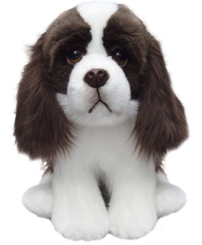 Peluche inglese springer - inglese,
