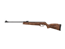 FUCILE GAMO BIG CAT 1000 E