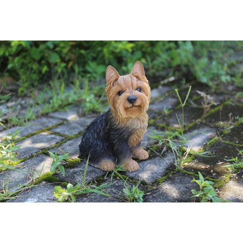 Line gift ltd dog - ltd,