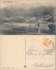 PEROSA ARGENTINA IMMORTALATA