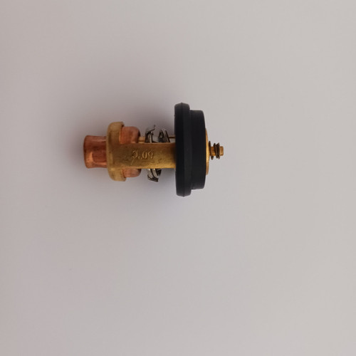 Termostato motore fuoribordo - motore,